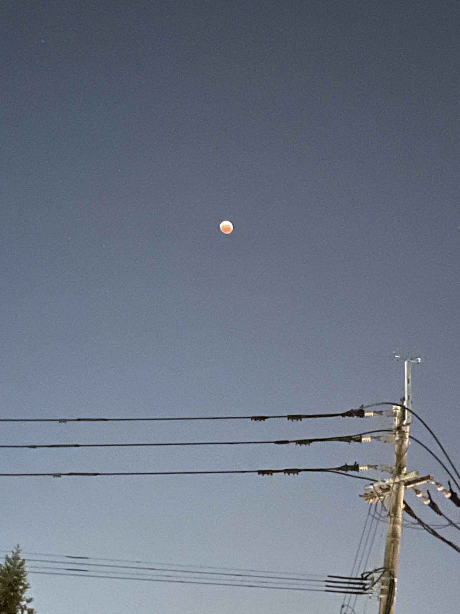 皆既月食🌔